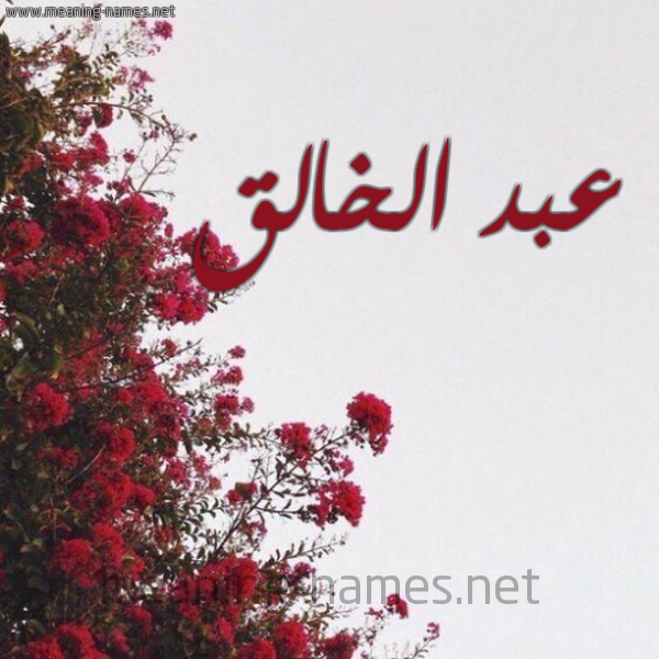 شكل 18 صوره الورد الأحمر للإسم بخط رقعة صورة اسم عبد الخالق Abd-Alkhalq